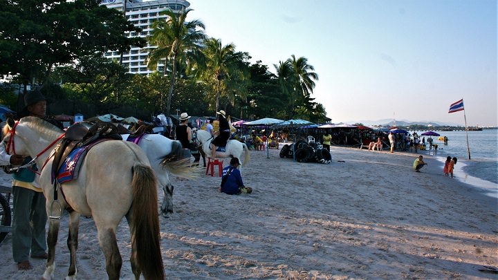 Hua Hin horses